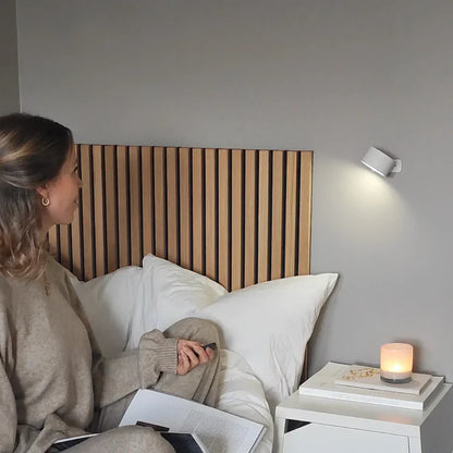 Sieninis šviestuvas